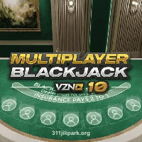 Blackjack VZN 10 Game Image